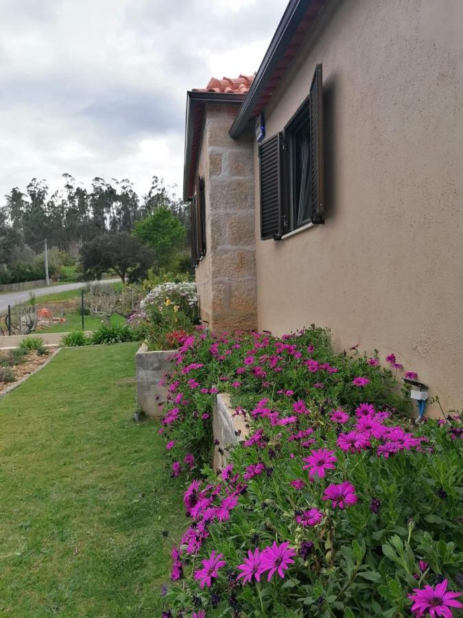 Casa Dos Matos Villa Ponte de Lima Bagian luar foto