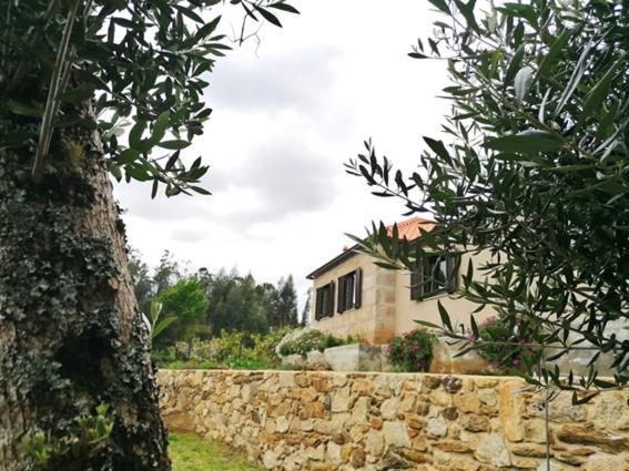 Casa Dos Matos Villa Ponte de Lima Bagian luar foto